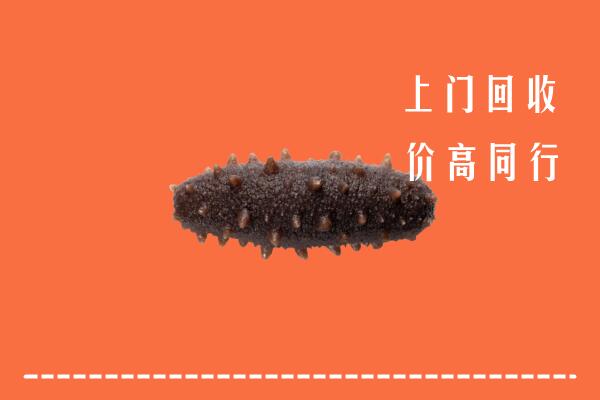 沈阳高价回收海参
